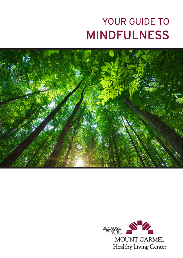 Guide to Mindfulness Book