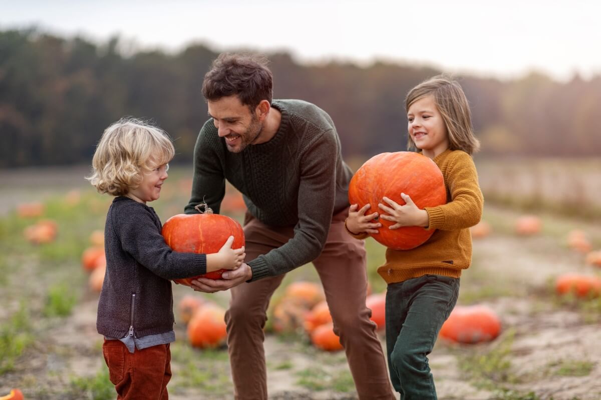 Things To Do This Fall